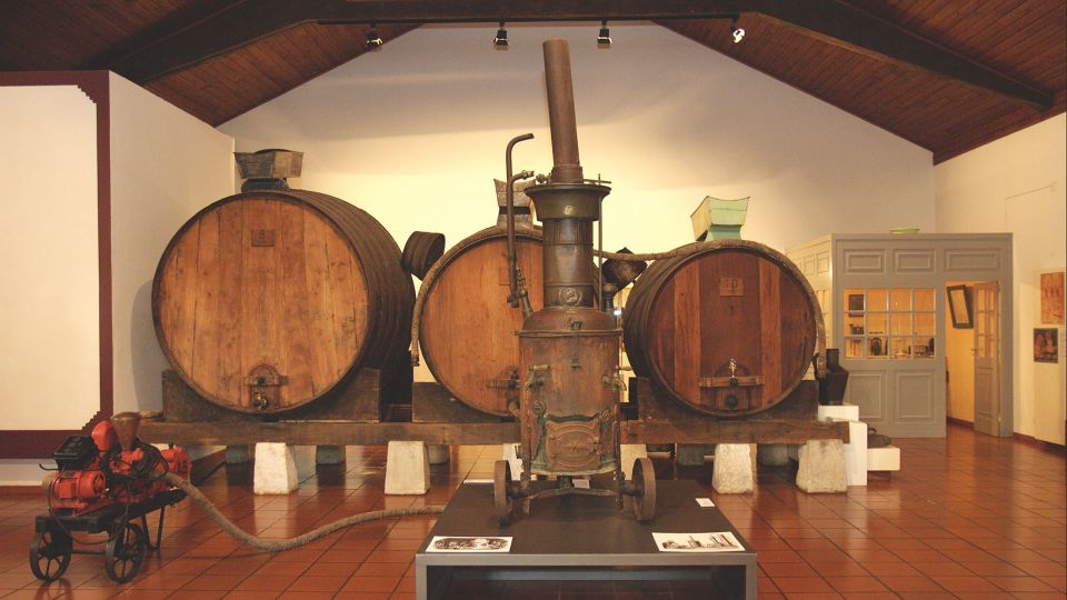 Museu Rural e do Vinho