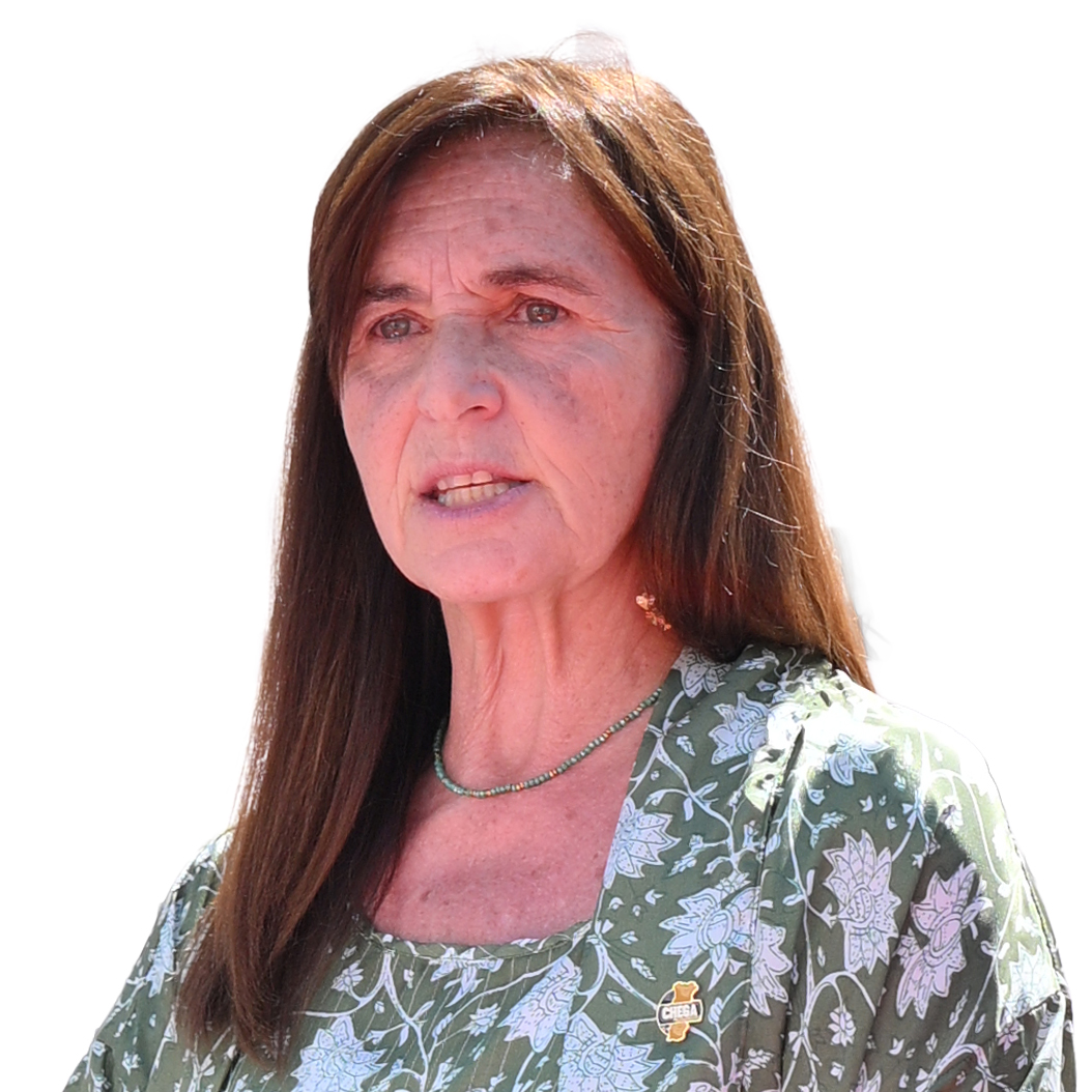 Vereadora da Câmara Municipal - Luísa Areosa