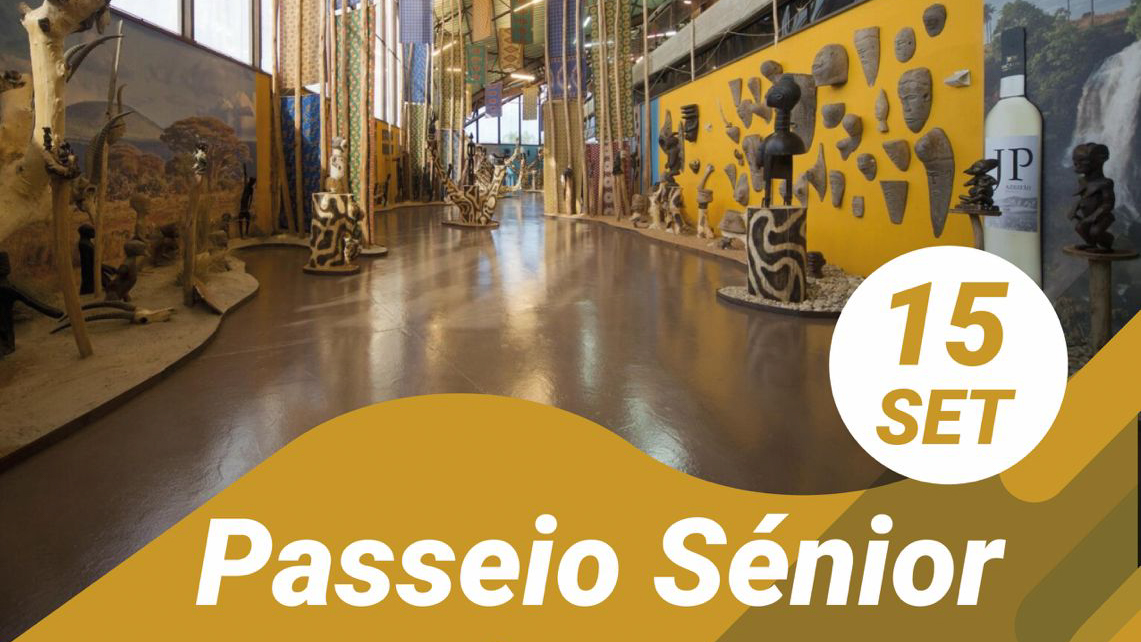 Passeio Sénior à Bacalhôa Adega Museu