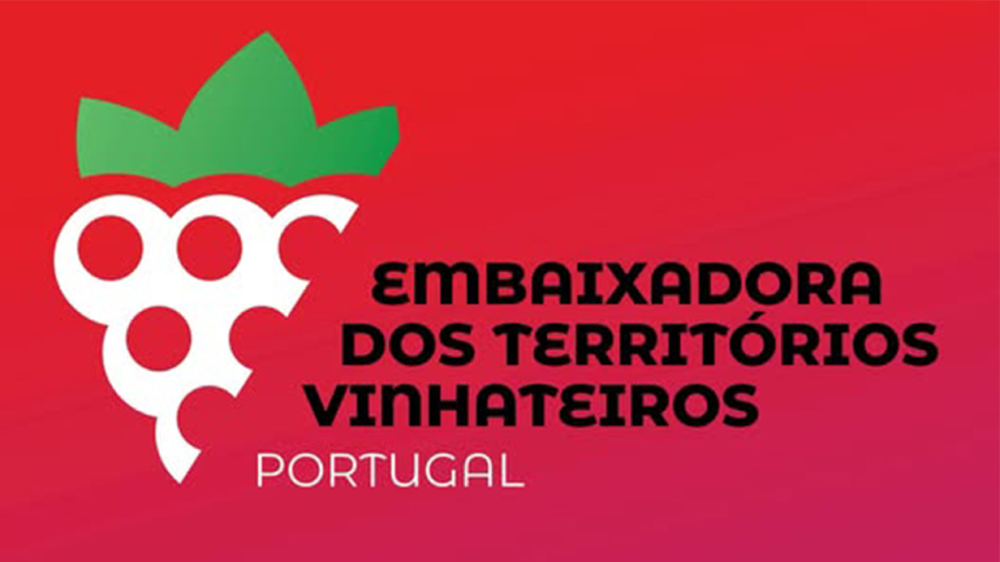 Eleição da Embaixadora dos Territórios Vinhateiros 2026